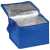 Non woven cooling bag NIEBY