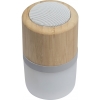 Bluetooth speaker Haarlem