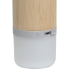 Bluetooth speaker HAARLEM