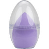 Makeup sponge case with sponge