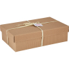 Large cardboard box