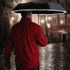 Umbrella Ø95 cm CRUX Schwarzwolf