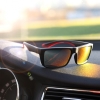 Sunglasses UV400 IRAVADI Schwarzwolf