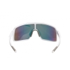 Polarized sunglasses BARWON Schwarzwolf